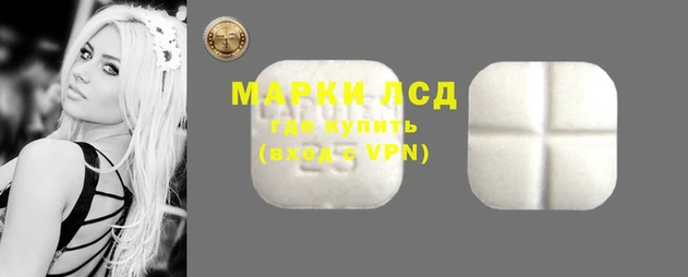 ALPHA PVP Горнозаводск