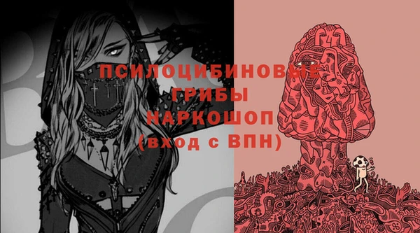 ALPHA PVP Горнозаводск