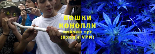 ALPHA PVP Горнозаводск