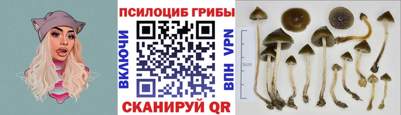 MEGA ссылки  Омск  Галлюциногенные грибы MAGIC MUSHROOMS 